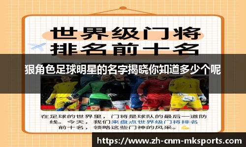 狠角色足球明星的名字揭晓你知道多少个呢